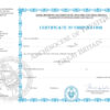 English Chrismation Certificate
